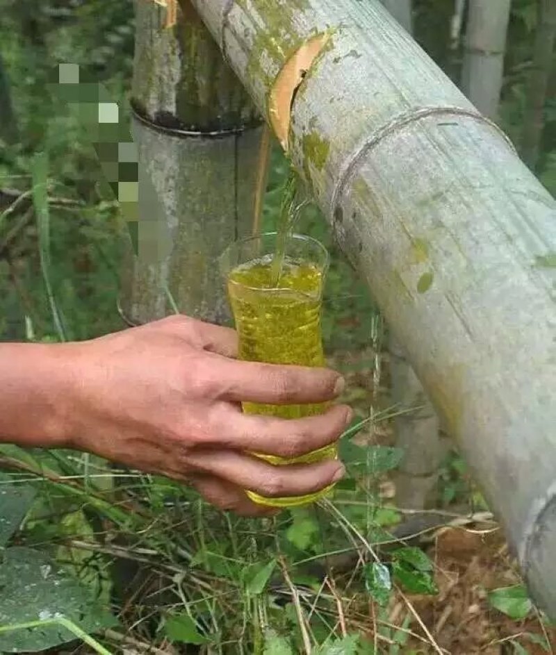 竹筒酒