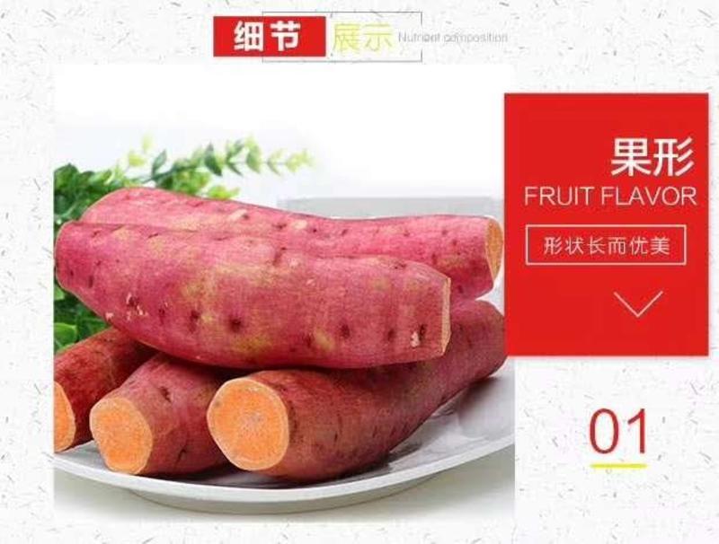 福建漳州六鳌红薯台湾大叶红诚邀超市社区团购电商合作