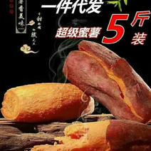 福建漳州六鳌红薯台湾大叶红诚邀超市社区团购电商合作