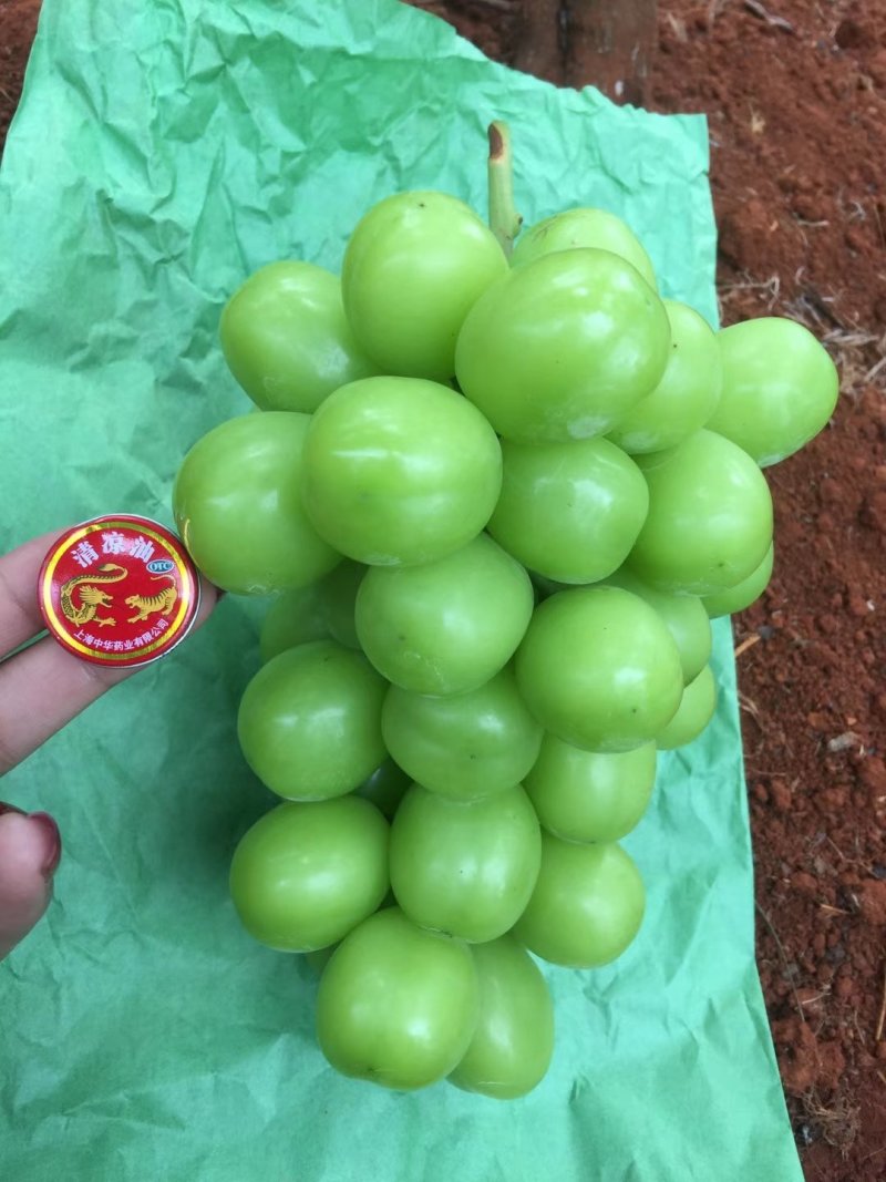舌尖上的美味