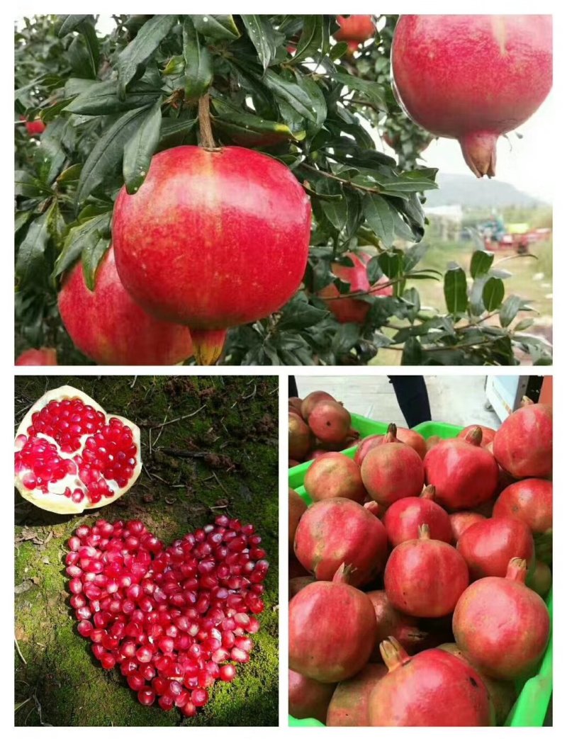 舌尖上的美味