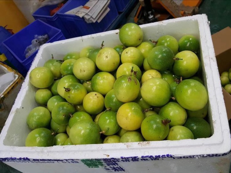 黄金百香果黄果50~60g