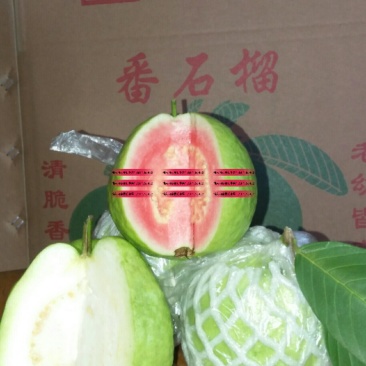 番石榴