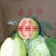 番石榴