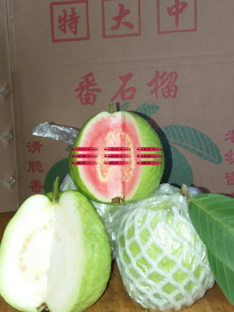 番石榴