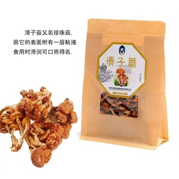 滑子菇