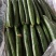 精品油皮小黄瓜鲜花带刺大量上市