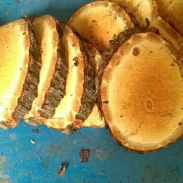 红穿破梗片