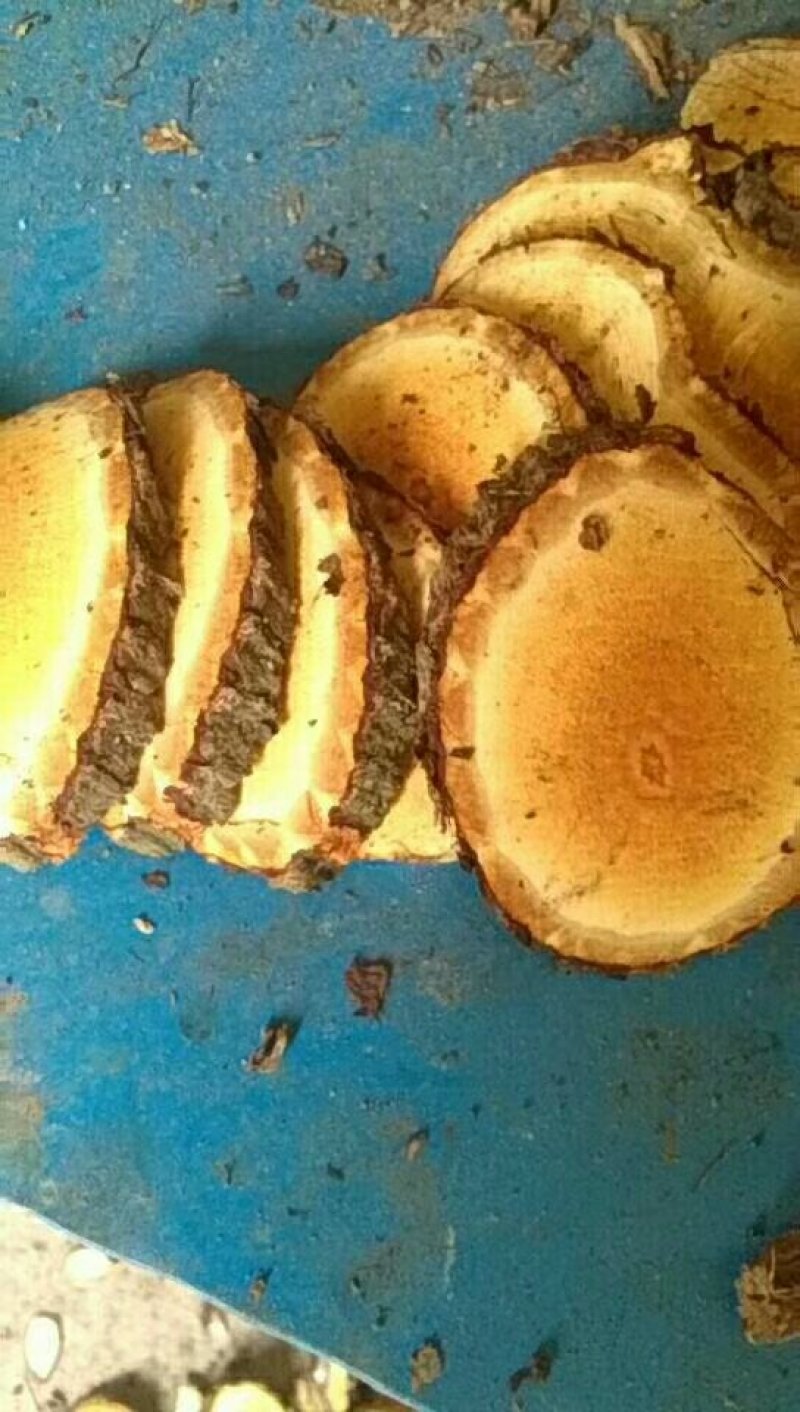 红穿破梗片