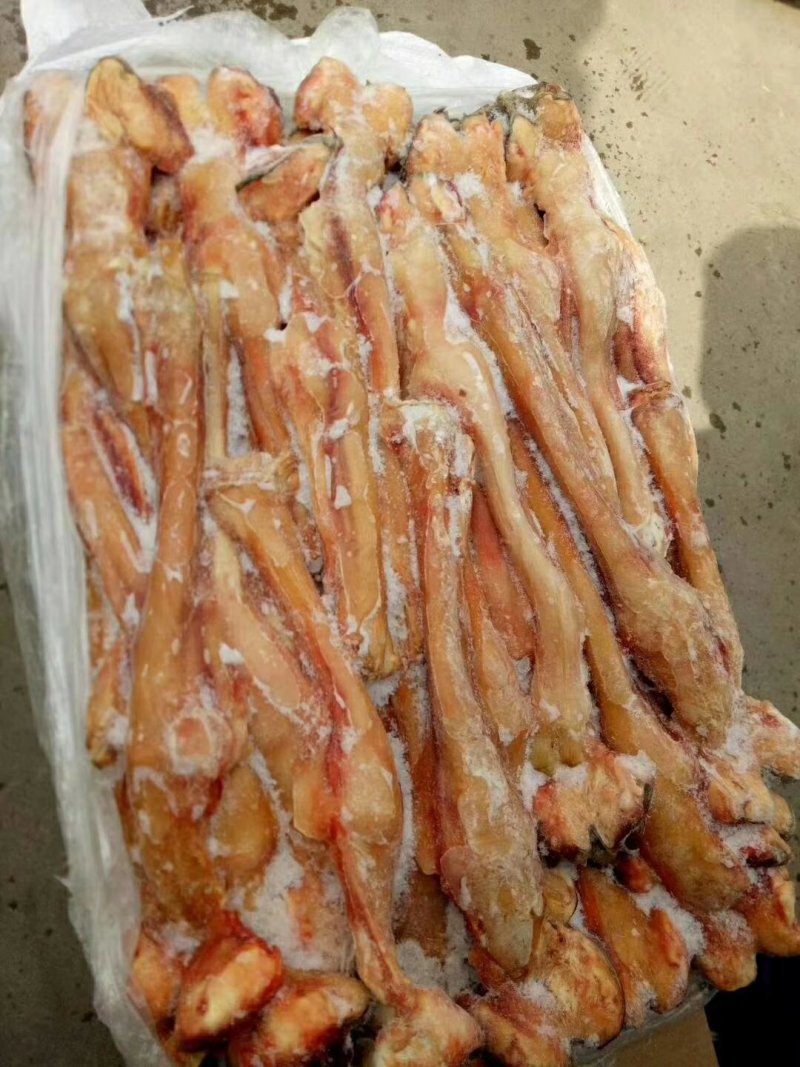 驴副产品批发