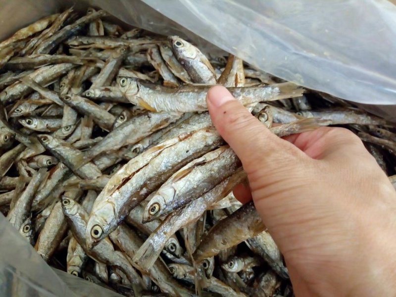 10公分左右开肚鱼干炸鱼开肚鱼干，原汁原味无添加