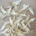 微山湖水产品干货批发商行