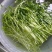 厂家直销全自动DY_500豆芽机