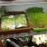 厂家直销全自动DY_500豆芽机