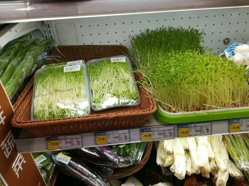 厂家直销全自动DY_500豆芽机