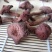 野生有机肉蘑出售