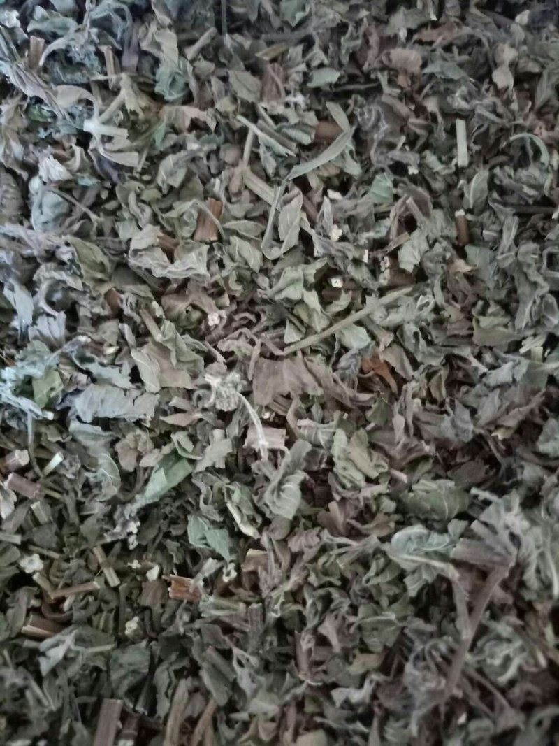 薄荷