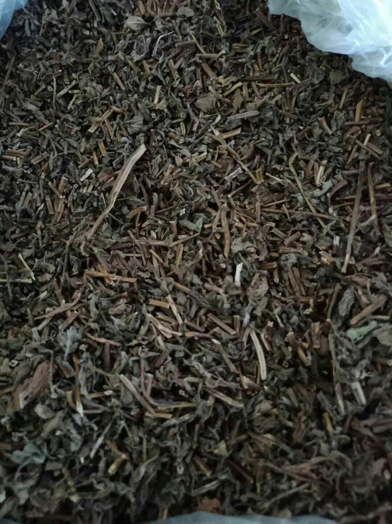 薄荷