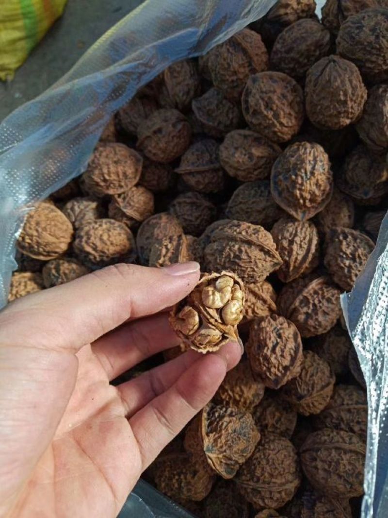 云南漾濞核桃。
