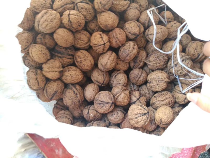 云南漾濞核桃。