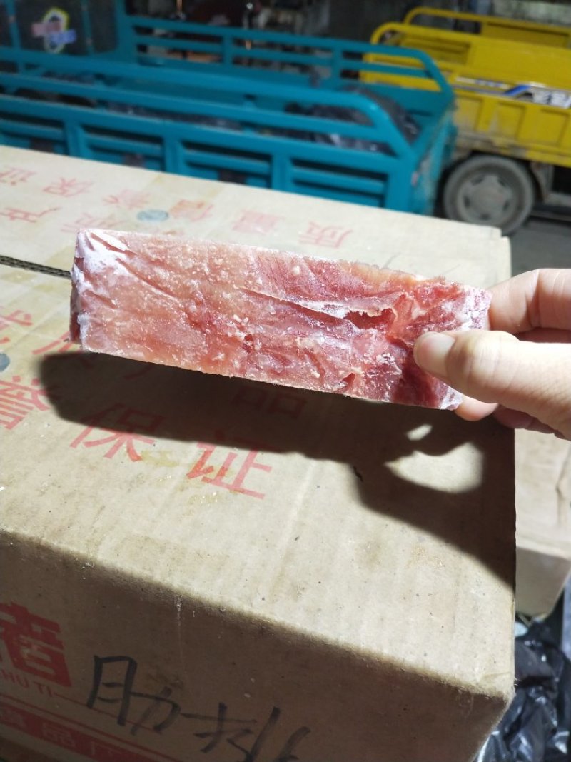 脊骨