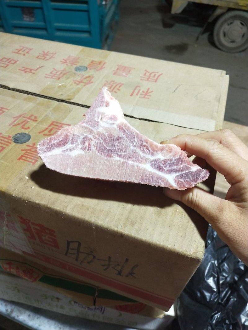 脊骨