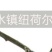 纽荷尔脐橙75~80mm