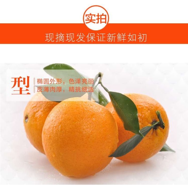 纽荷尔脐橙75~80mm