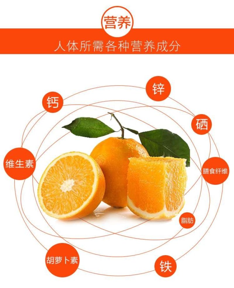 纽荷尔脐橙75~80mm