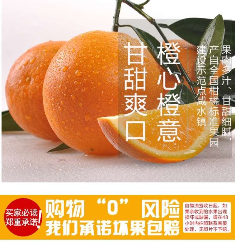 纽荷尔脐橙75~80mm