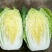 大白菜土豆