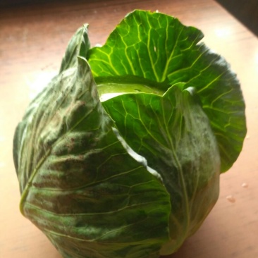美丽，甘蓝。
