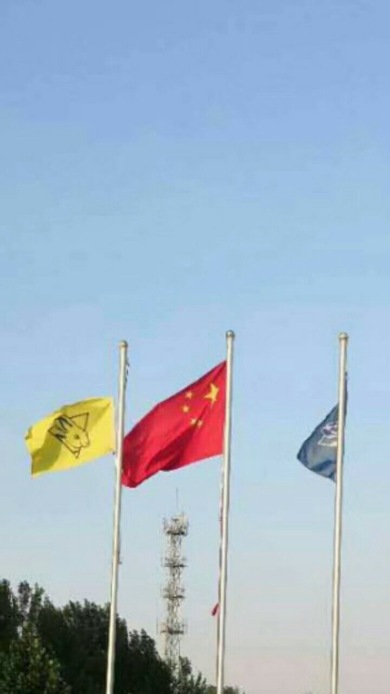 专业种兔繁殖基地+出售诚信经营基地直发品种优良