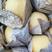 春季大量供应陕西蒲城酥梨，对接商超电商批发，量大从优