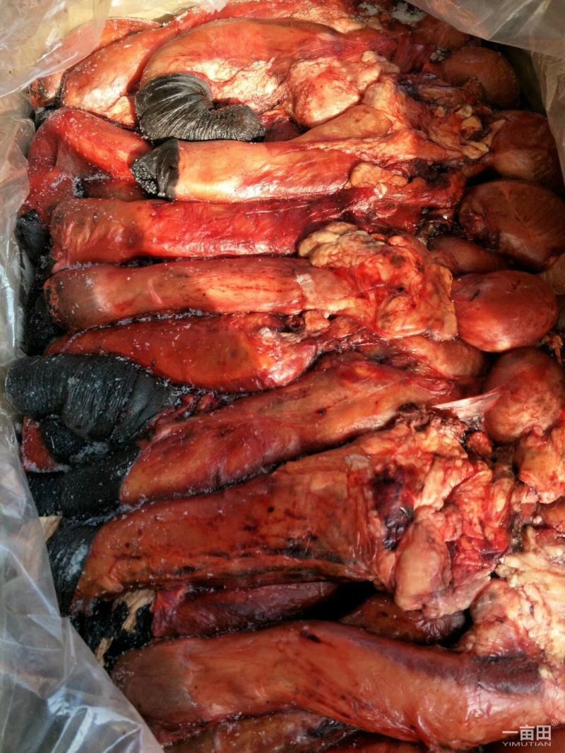 冻品驴肉