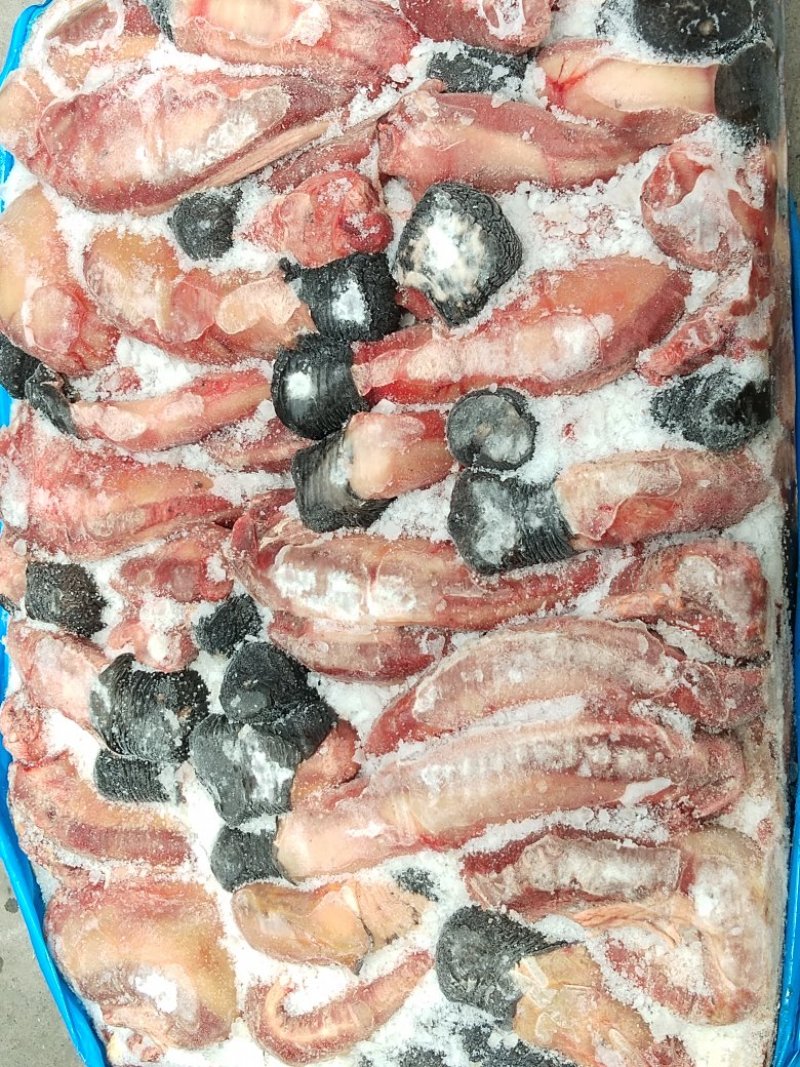冻品驴肉