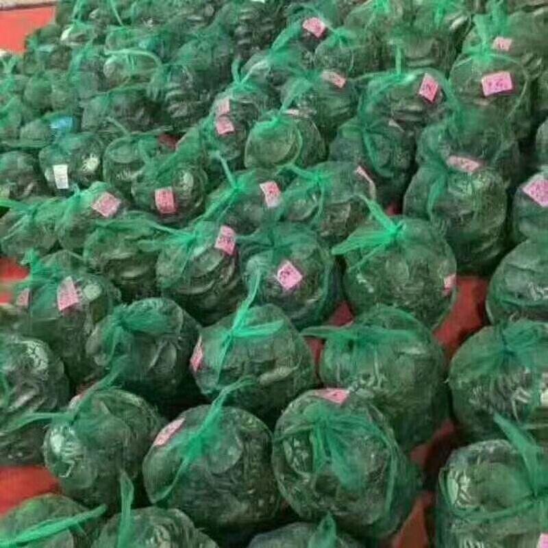 1.68母蟹食用洪泽湖精品红膏大闸蟹