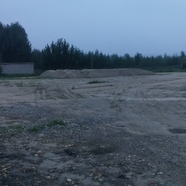 2000亩板栗山地转租