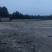 2000亩板栗山地转租