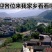 18年新货5斤装云南大理纸皮鲜新核桃2500克