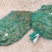 商品青蛙，小龙虾，青虾