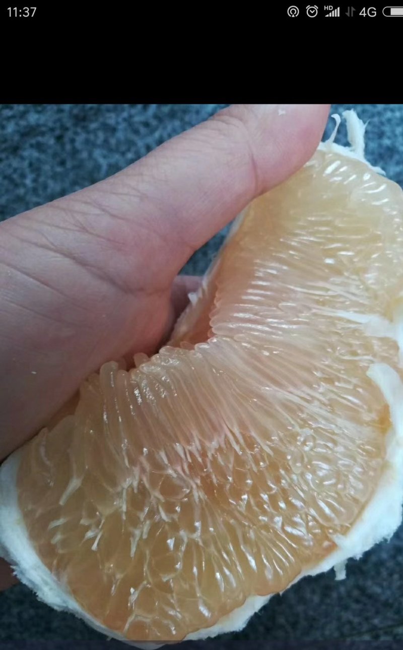 平和琯溪蜜柚