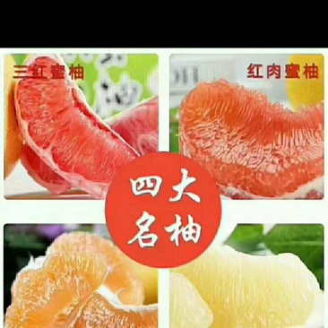 平和琯溪蜜柚