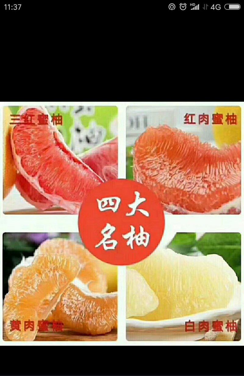 平和琯溪蜜柚