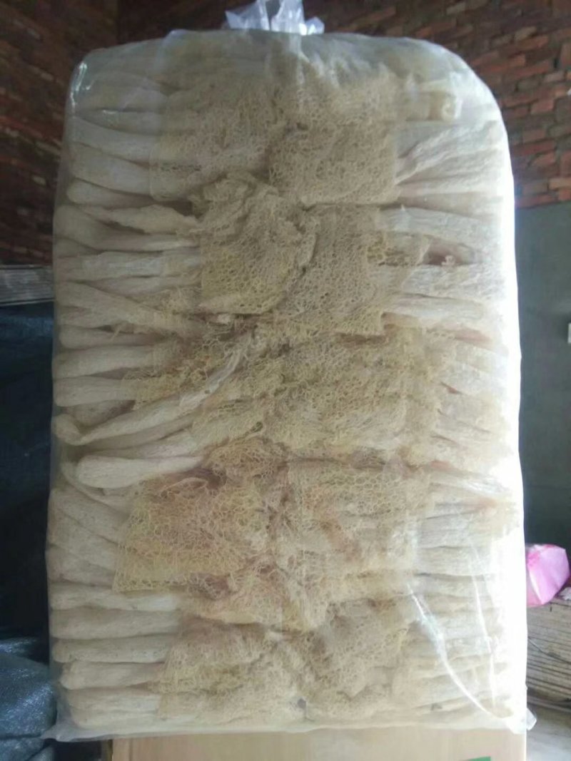 竹荪