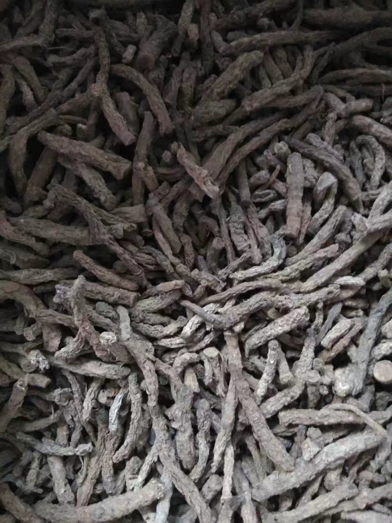 仙茅