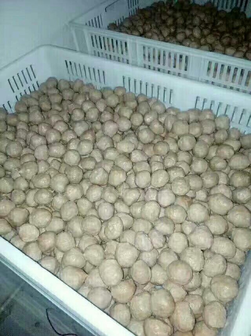 丸子