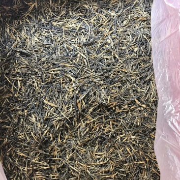 茶叶滇红红茶一级理条茶普洱茶