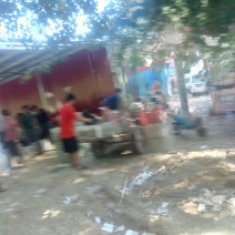 种植基地直发，泊头鸭梨皇冠梨正宗产地，欢迎老板合做谢～。