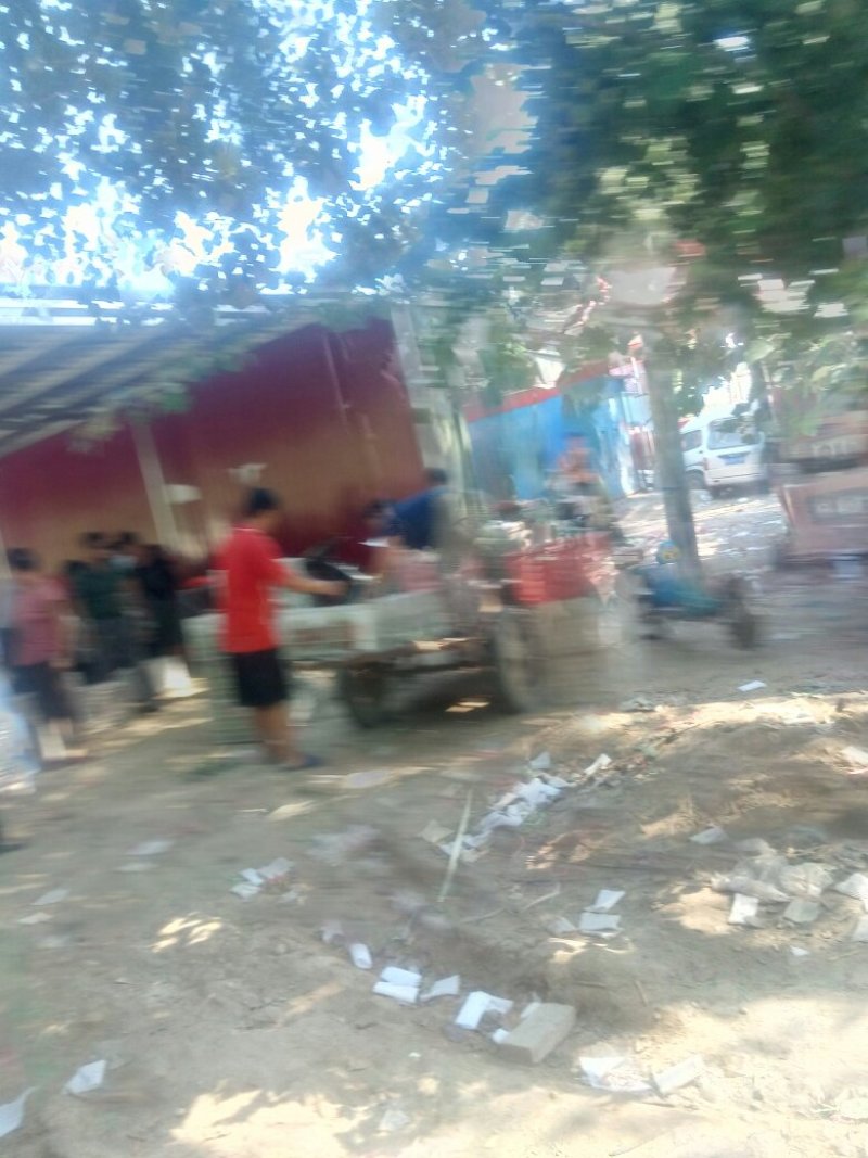 种植基地直发，泊头鸭梨皇冠梨正宗产地，欢迎老板合做谢～。
